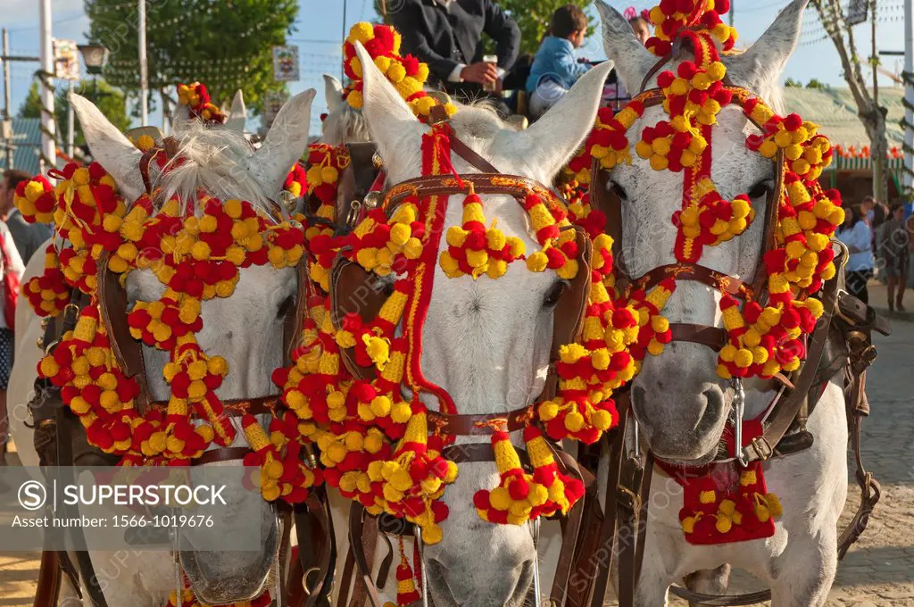April Fair, Carriage, Mules adorned, Seville, Spain        
