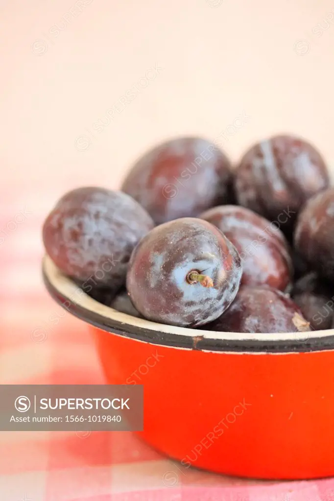 Plums in a red metal bowl  Fresh purple plums in an enamel red bowl on red gingham cloth