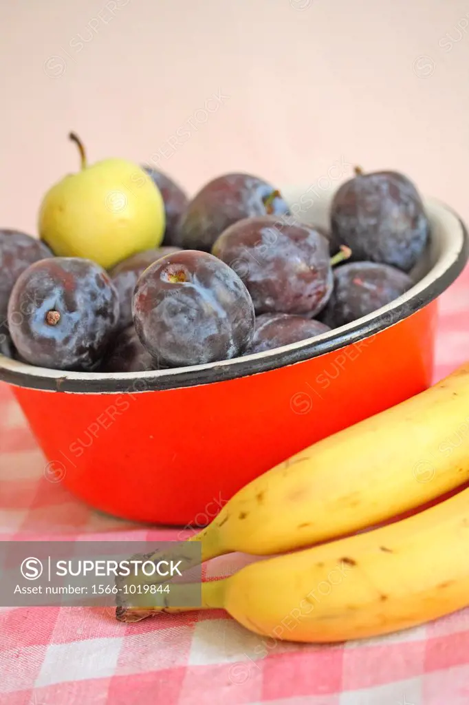 Plums and a small green apple in a red metal bowl with bananas  Fresh purple plums in an enamel red bowl  Small green apple windfall  Bananas lay besi...