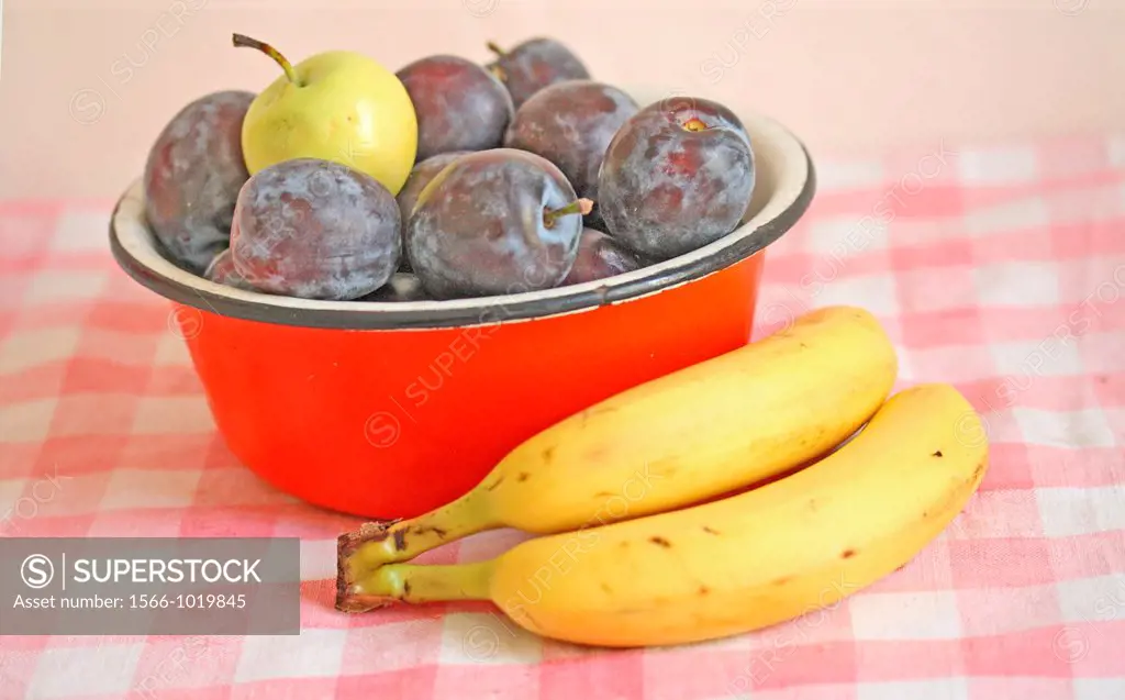 Plums and a small green apple in a red metal bowl with bananas  Fresh purple plums in an enamel red bowl  Small green apple windfall  Bananas lay besi...