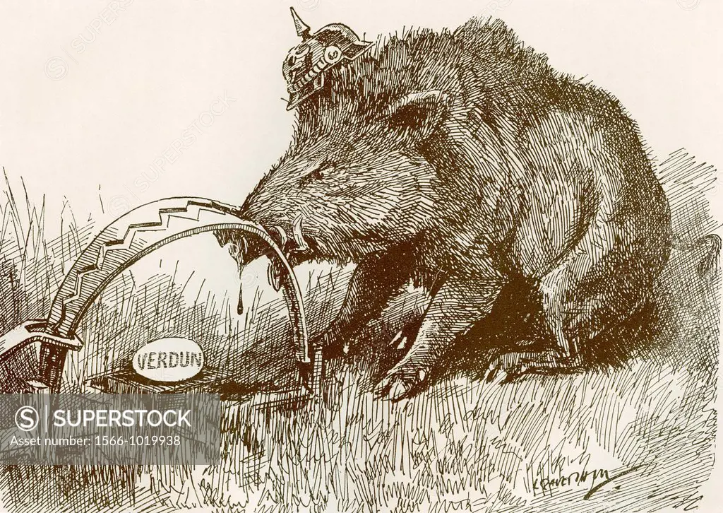 English propaganda picture showing a boar representing the German army, with his nose caught in a trap  Battle of Verdun  From The Year 1916 Illustrat...