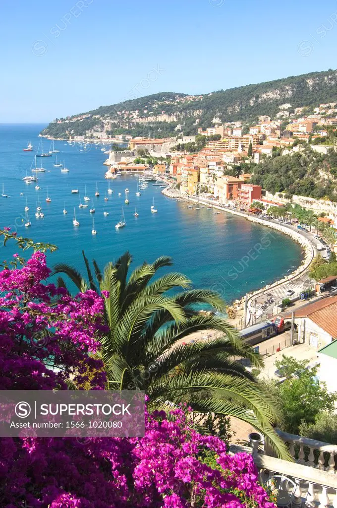 Villefranche sur Mer seen from above, South of France, sailing boats at anchor, Flowers and palm tree in foreground