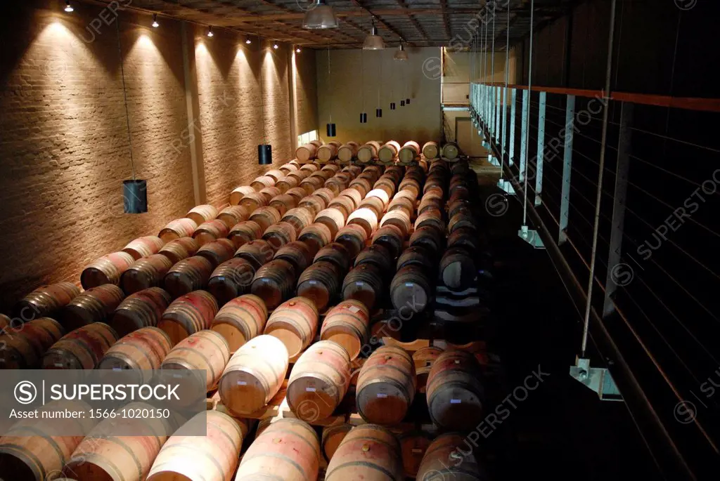 Oak barrels in Wine Cellar at Groot Constantia  Cape Town, South Africa