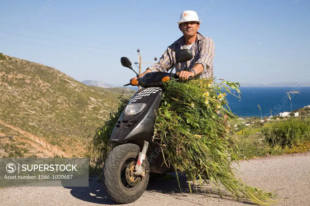 europe, greece, dodecanese, patmos island, motor-bike, transport of grass