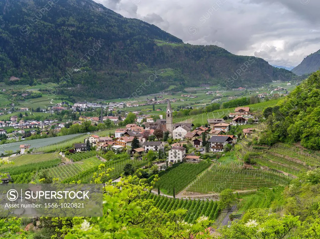 Village of Algund lagundo in the valley of river Etsch surrounded by vineyards and fruit plantations Europe, Central Europe, Italy, South Tyrol, April