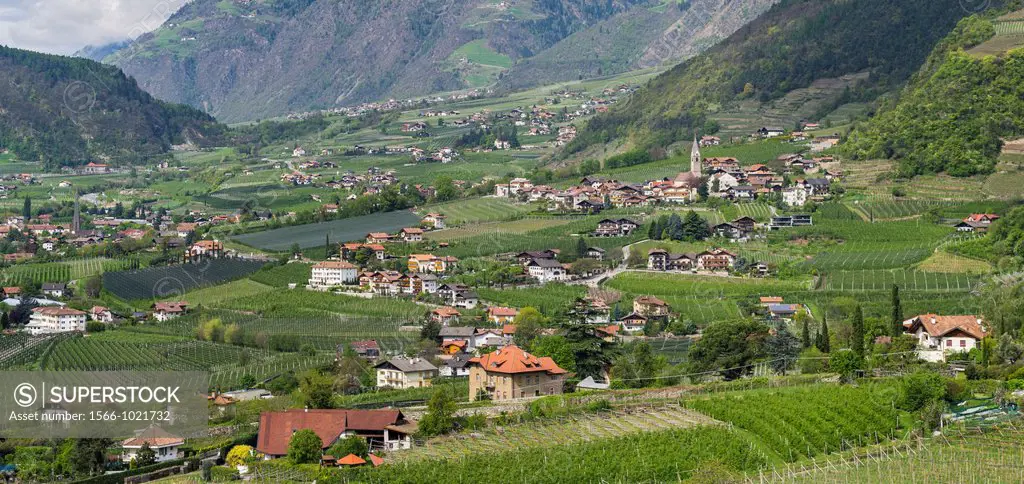 Village of Algund lagundo in the valley of river Etsch surrounded by vineyards and fruit plantations Europe, Central Europe, Italy, South Tyrol, April