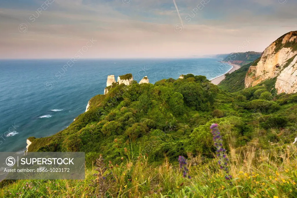 Hooken Cliffs, Lyme Bay, Jurassic Coast part of the South West Coast Path, Beer, Devon, England, UK