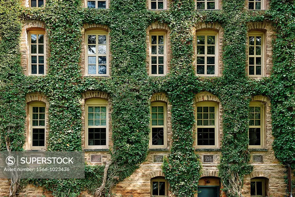 Ivy covered information building, Princeton University, New Jersey, USA