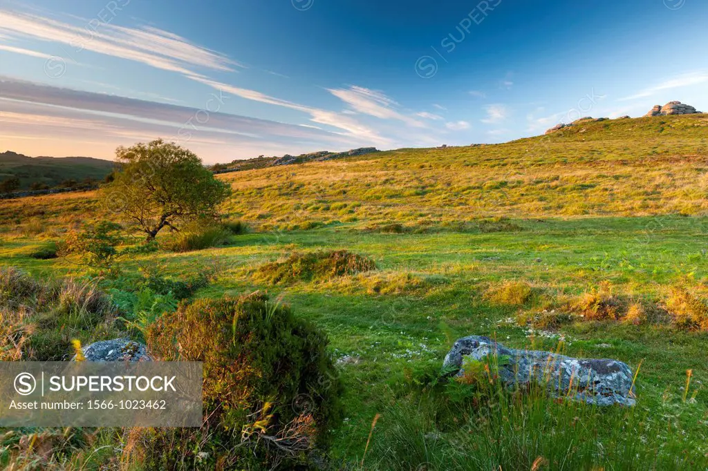 View towards Saddle Tor, Dartmoor National Park, Devon, England