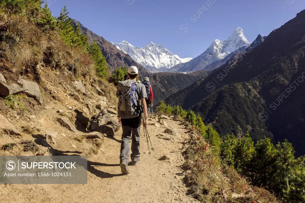 Ama Dablam 6814mts Sagarmatha National Park, Khumbu Himal, Nepal, Asia