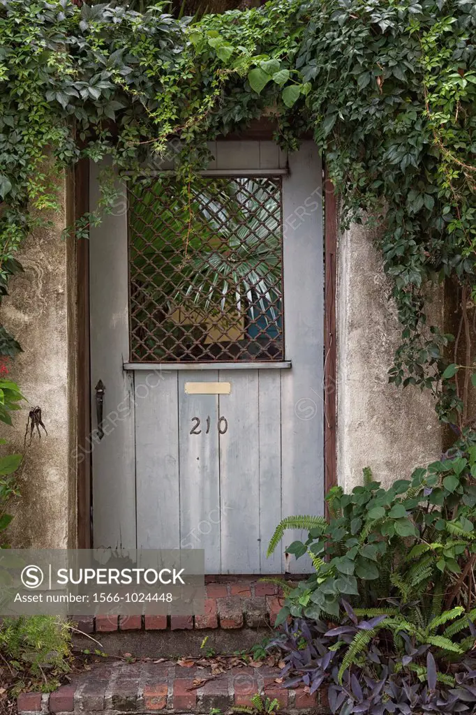 Blue door with vines  St  Augustine, FL, USA