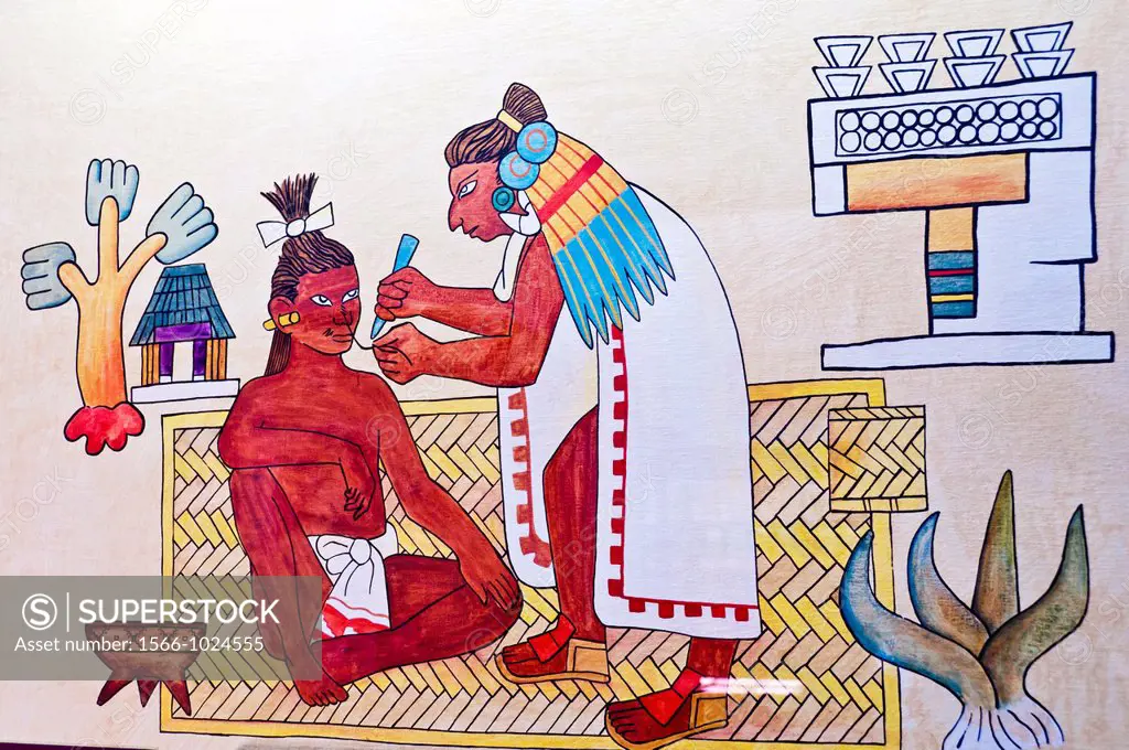 America. Mexico. Mexico DF. Nahuatl Surgeons, called texoxotla ticitl. Ancient Medicine School Museum