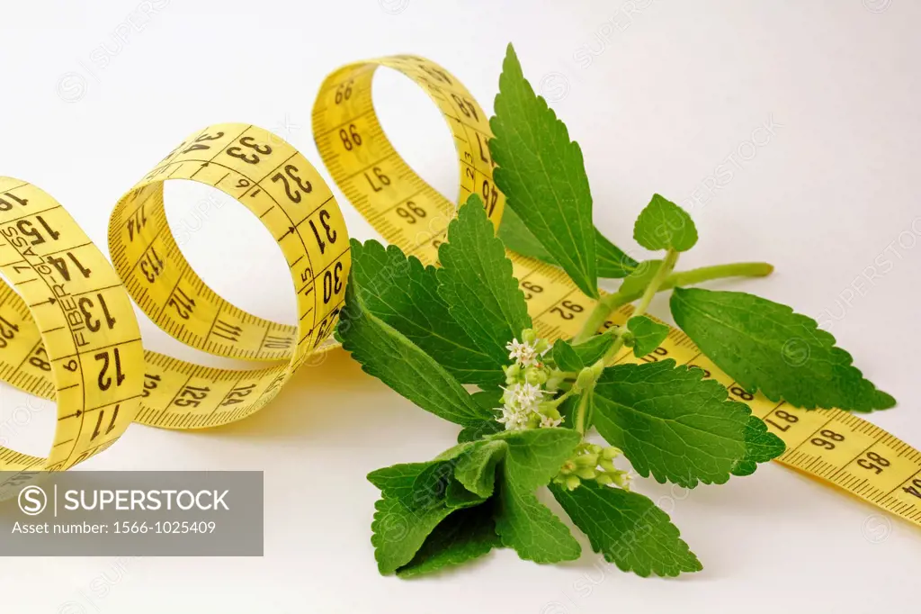 Stevia and measuring tape
