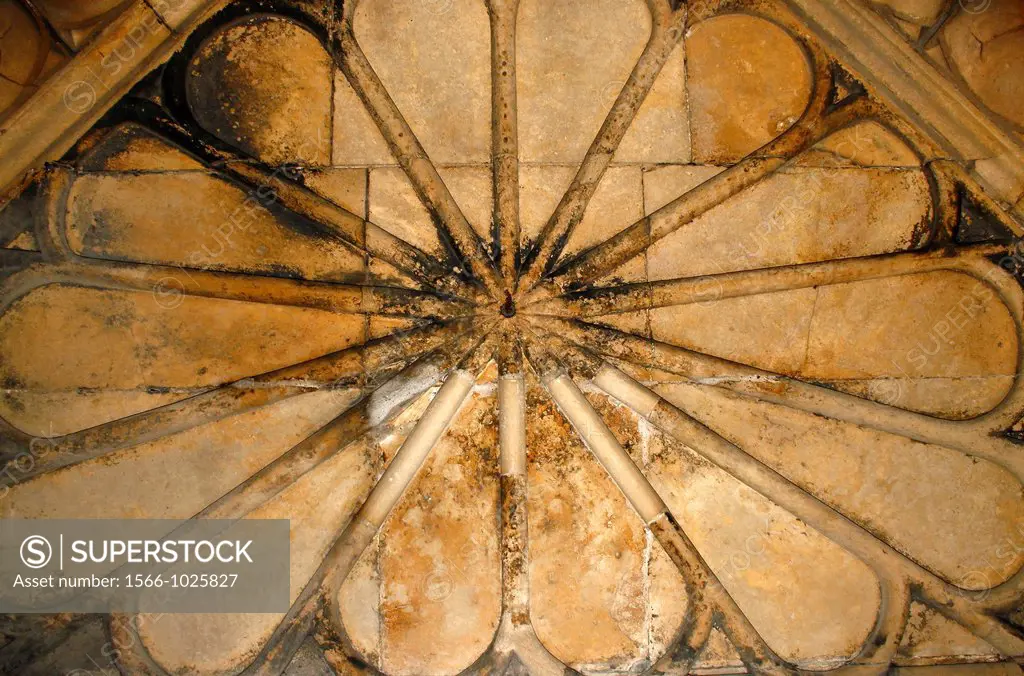 ceiling of Newark Castle Newark-on-Trent, Newark, Nottinghamshire, England, UK