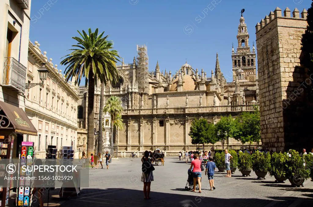 Europe, Spain, Sevilla  The Giralda is the bell tower of the Cathedral of Seville  Its height is 343 feet 105 m feet  Its square base is 23 feet 7 0 m...