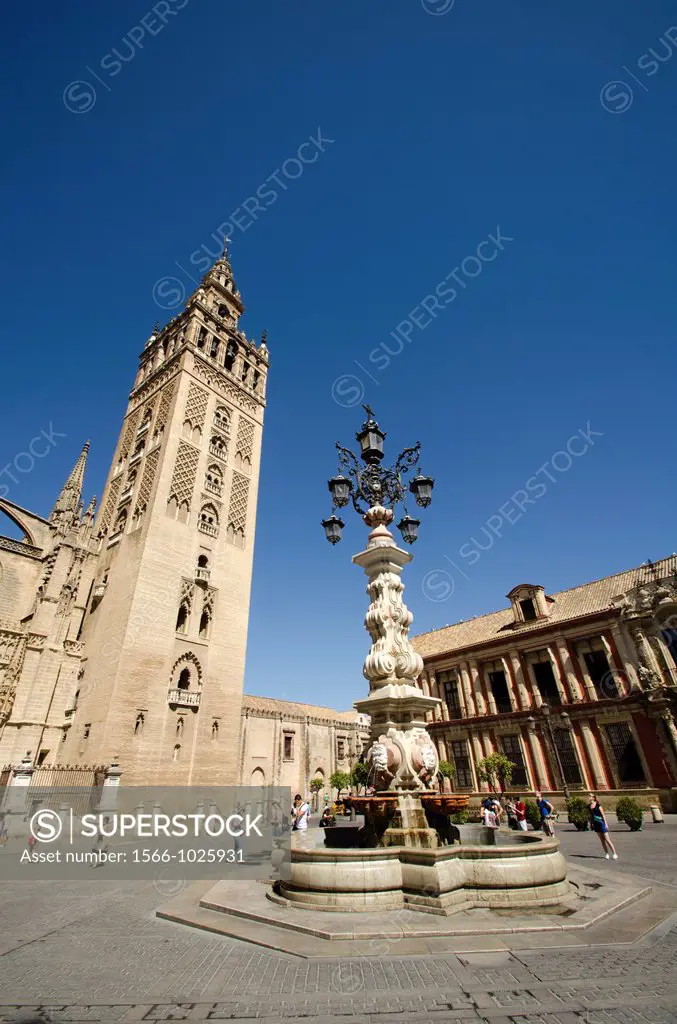 Europe, Spain, Sevilla  The Giralda is the bell tower of the Cathedral of Seville  Its height is 343 feet 105 m feet  Its square base is 23 feet 7 0 m...