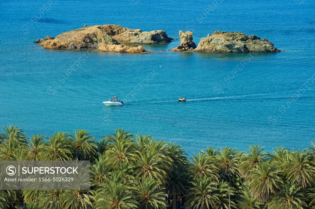 Greece, Crete island, Vai beach and palm trees, eastern Crete