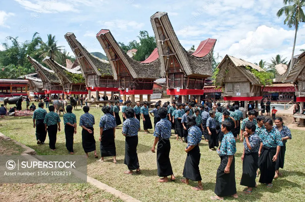 traditional funeral ceremony in Tana toraja, sulawesi,indonesia