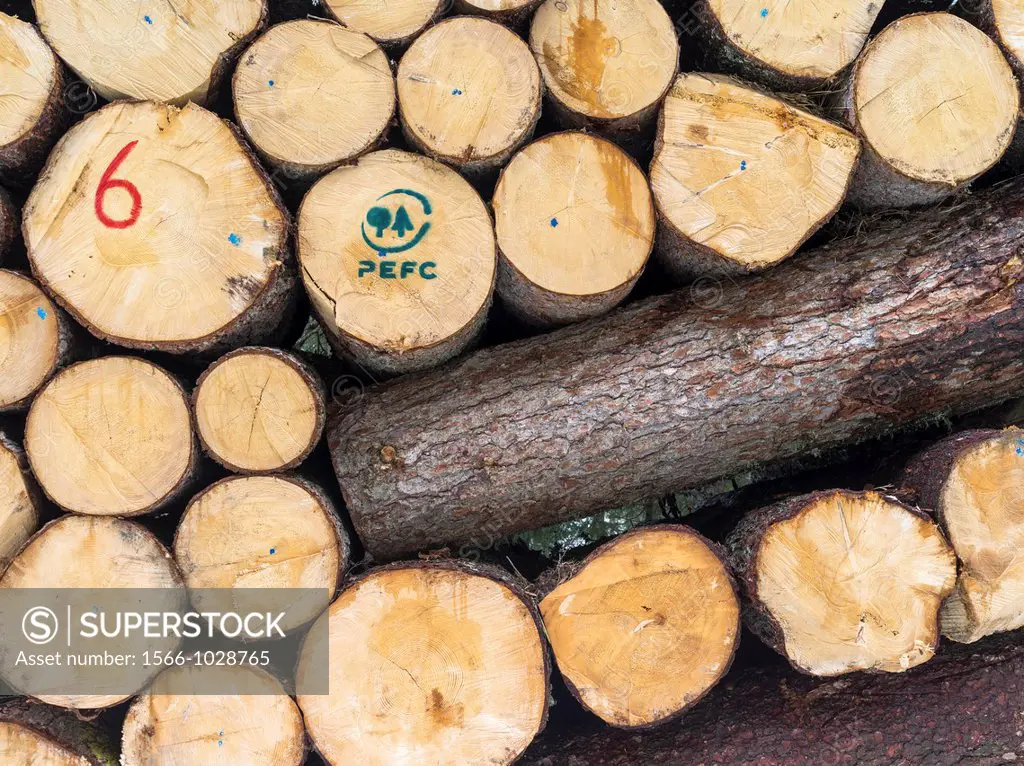 Logs harvested from sustainable forestry, in the Dolomites near the mountain range Rosengarten catinaccio The PEFC Programme for the Endorsement of Fo...