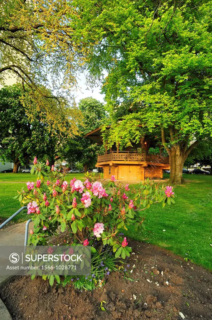 Rhododendrons and bandstand, Alexandra Park, English Bay, Vancouver, British Columbia, Canada