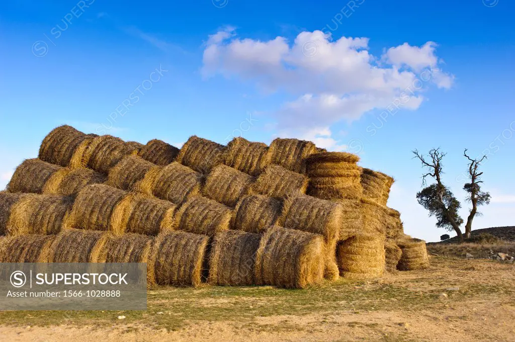 Straw bales, Almansa, Albacete province, Castilla-La Mancha, Spain