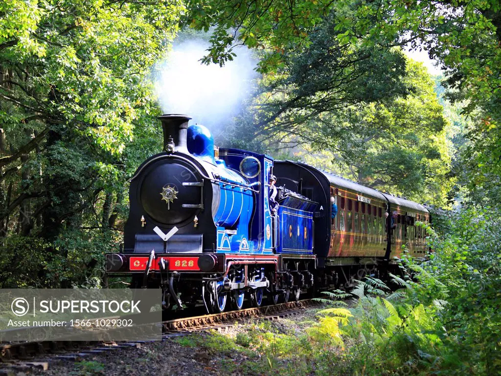 Calendonian Railway ´Class 812´ ,0-6-0 ,No  828 hauls a passenger train through Northwood on the Severn Valley Railway, Worcestershire, England, Europ...