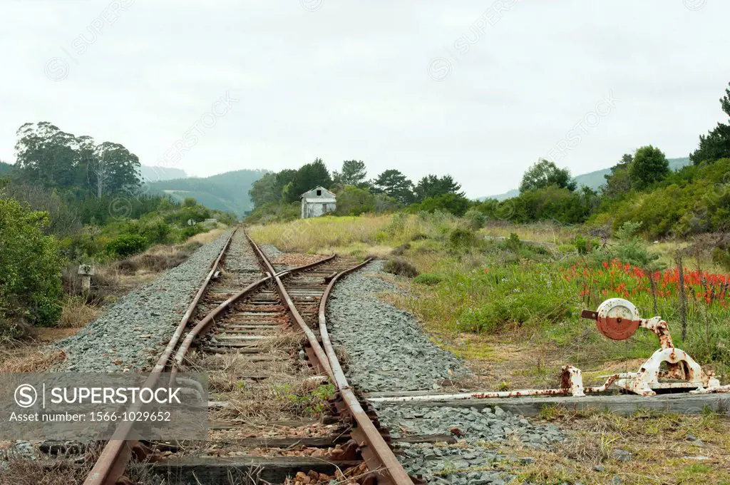 An old, abandoned railway siding, lies, tracks rusting in the veld  The station house in a state of collapse, disrepair 