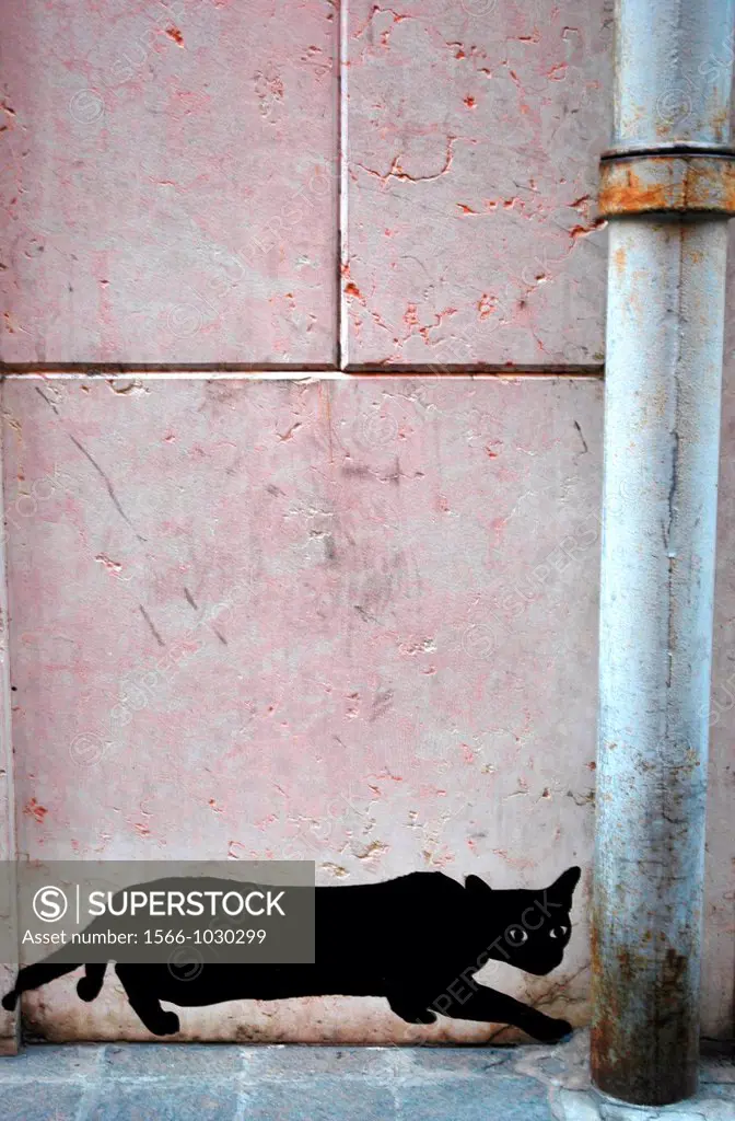 Modena, Italy: graffiti depicting a black cat  