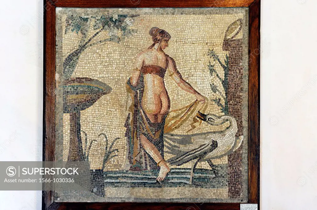 copy of a 3rd century AD mosaic of Leda and the Swan, the original was found at Palaipaphos Old Paphos, it was one of the most celebrated pilgrimage c...