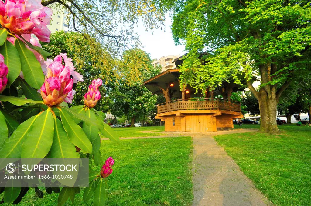 Rhododendrons and bandstand, Alexandra Park, English Bay, Vancouver, British Columbia, Canada