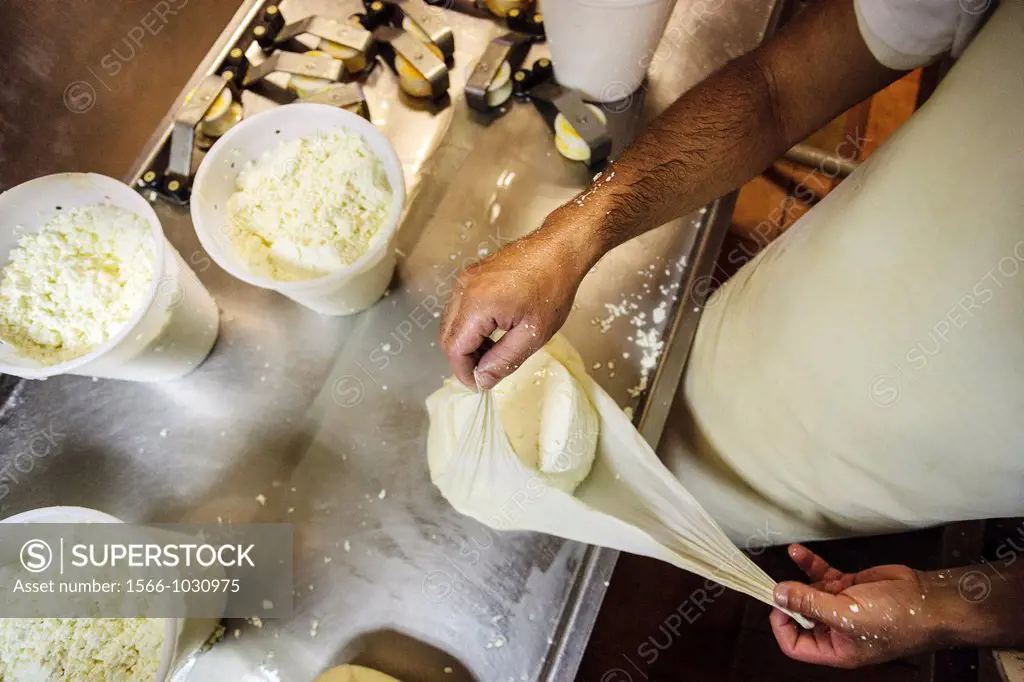 Hand-made cheese Binigarba - denomination of origin Mahon craftsman-farm Binigarba, Ciutadella, Menorca, Balearic Islands, Spain, Europe