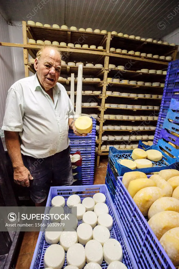 Jaume Pons, brioche cheese artesanall Binibeca - Designation of Origin Mahon-farm artisan Alcaiduset, Alaior, Menorca, Balearic Islands, Spain, Europe