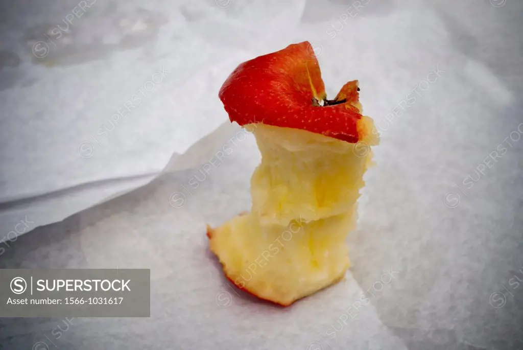 A half-eaten apple oxidizes on a picnic table in New York