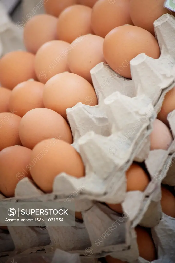 Dozens of eggs in the market