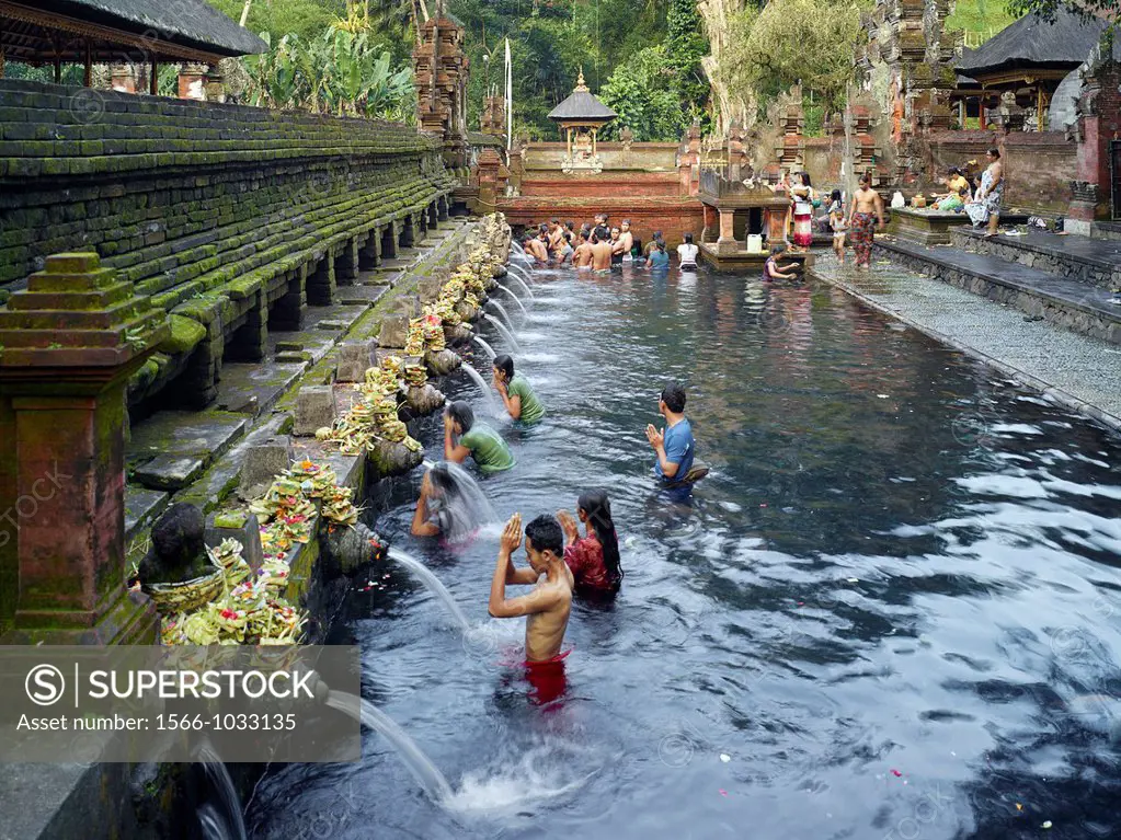 Balinese bath in the sacred waters of Tirta Empul  An ancient natural water spring feeds the baths  This area is believed to be the ancient center of ...