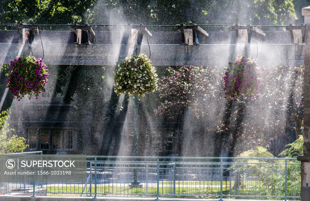 Sunlight streams through floral baskets hanging from an arbor on a patio, Ontario, Canada  A sprinkler system creates a surreal back-lit effect as wat...