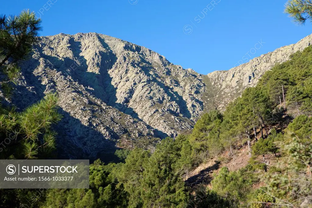 Los Galayos, in Sierra de Gredos Regional Park, Ávila  Castilla y León  Spain