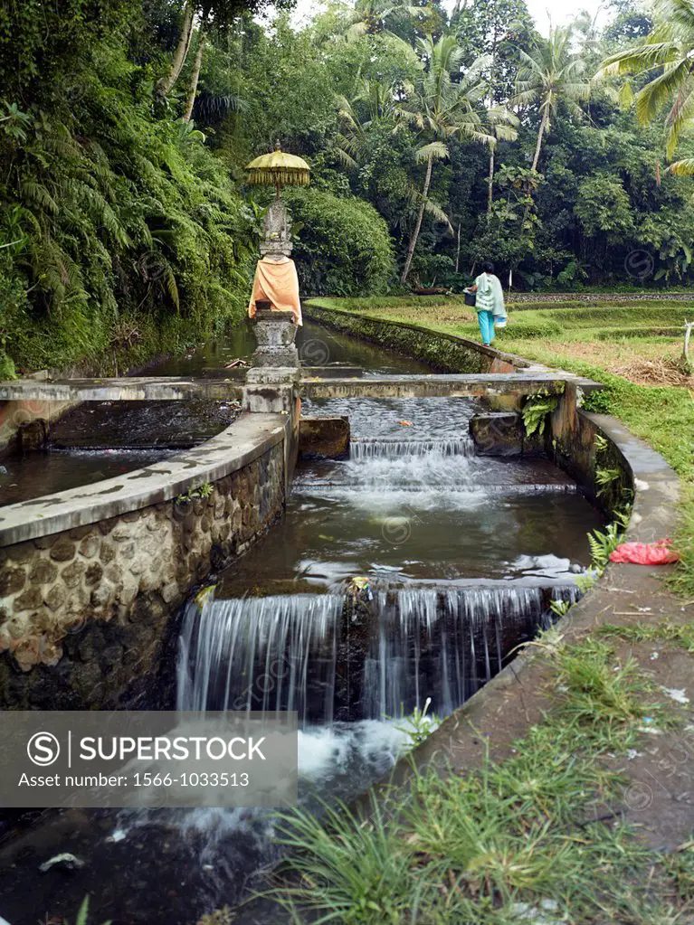Water irrigation in the Subaks of Tampak Siring, showing garbage strew around the irrigation canals   Tampaksiring is believed to be the cradle of Bal...