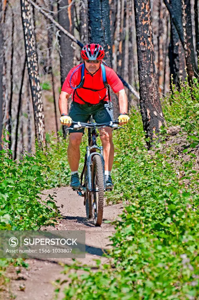 Mountain biking the Warm Springs Trail on Bald Mountain at Sun Valley Resort near the cities of Ketchum and Sun Valley in central Idaho