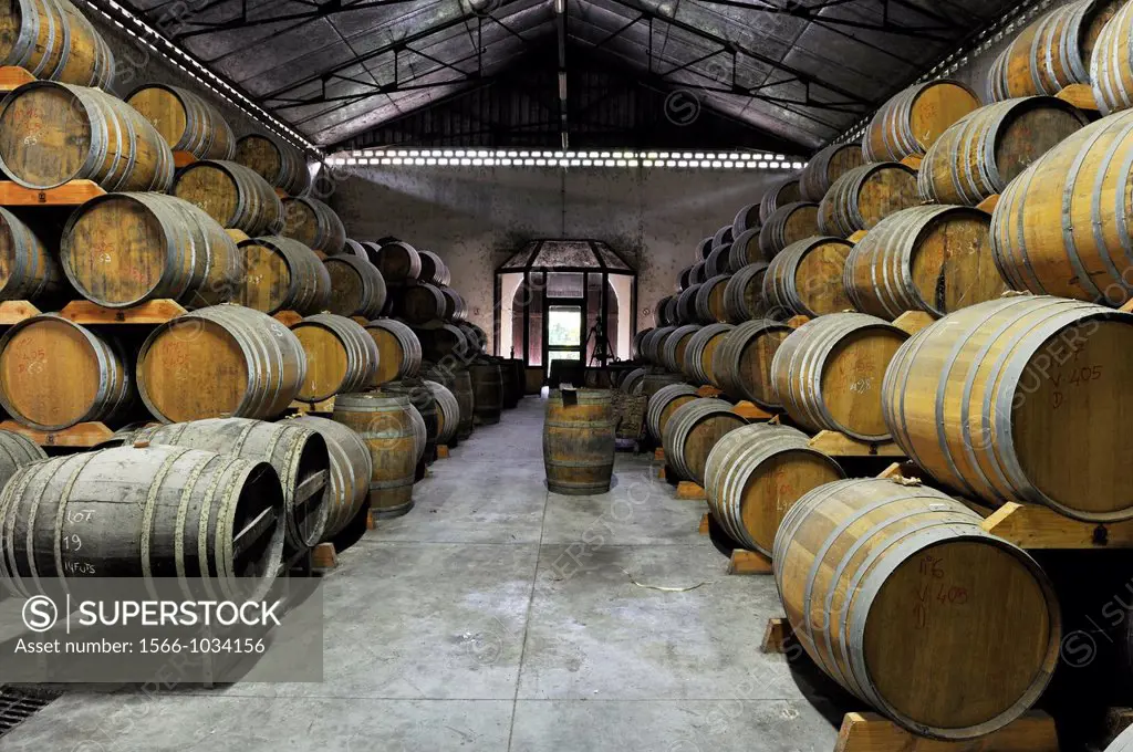 ageing cellar of La Mauny rum Distillery, Martinique, french island overseas region and department in the Lesser Antilles in the eastern Caribbean Sea...