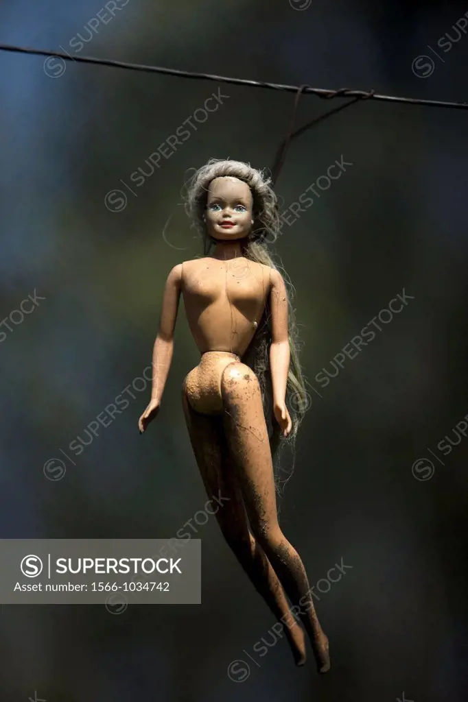 A doll is displayed on the Island of the Dolls in Xochimilco, southern Mexico City. The late Don Julian turned his ´chinampa, ´ a small artificial isl...