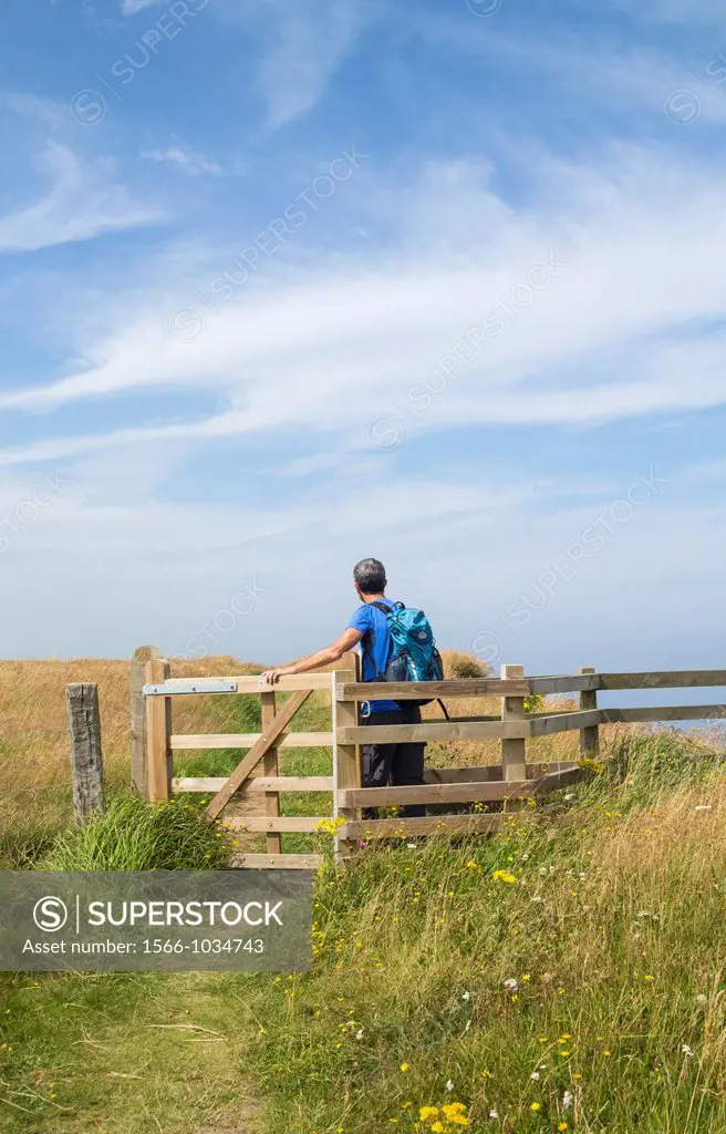 Male hiker on The Cleveland Way national trail coastal footpath near Staithes in North Yorkshire, England, United Kingdom
