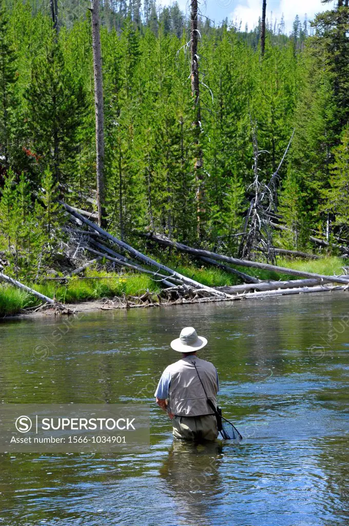 Fly Fishing Yellowstone National Park Wyoming WY United States
