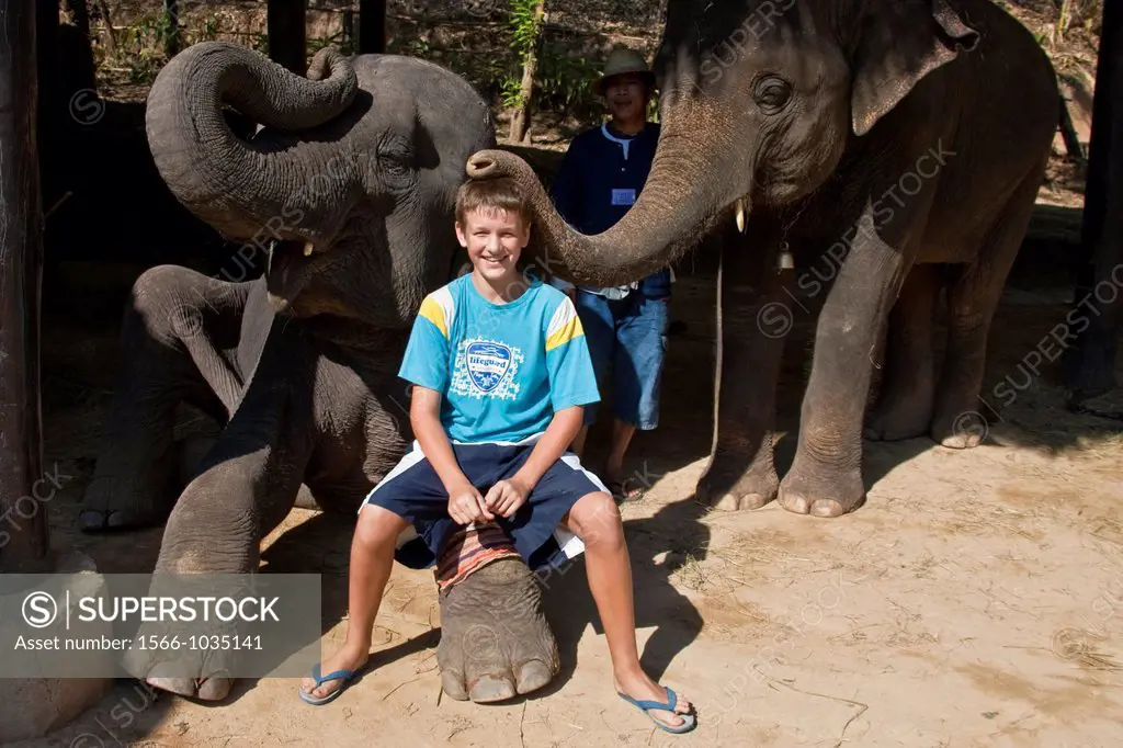A Young Tourist with Elephant, Maesa Elephant Camp, Chiang Mai, Thailand