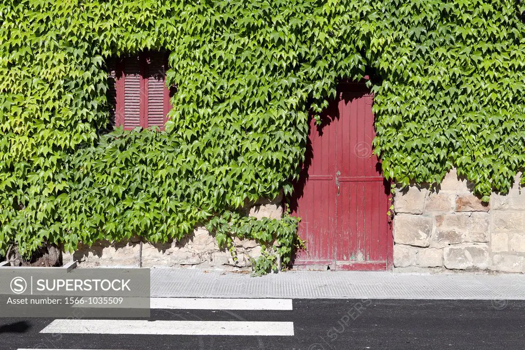 Ivy-covered facade  Gipuzkoa, Basque Country  Spain,