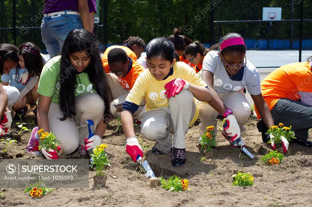 Sixth graders plant vegetables and flowers in a garden for the school children of a public school in Newark, NJ