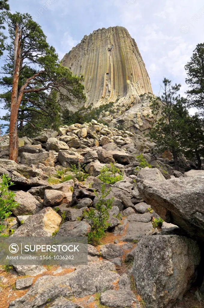 Devil´s Tower National Monument Wyoming WY igneous intrusion laccolith
