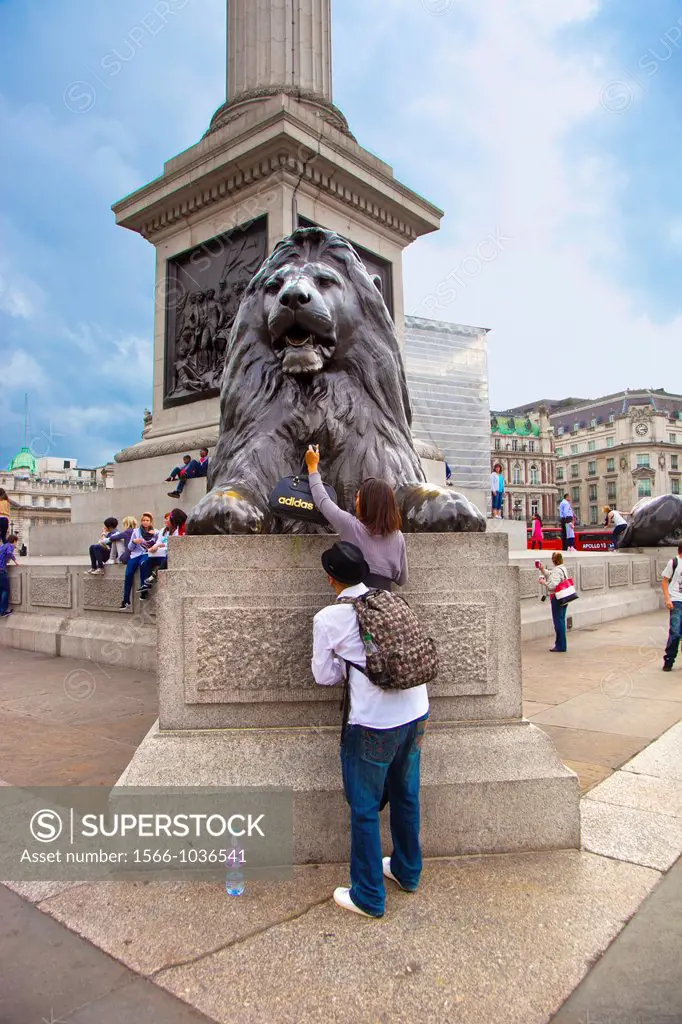 lion in the base of Nelson Column  Trafalgar Square  London  England  United Kingdom, UK, Europe.