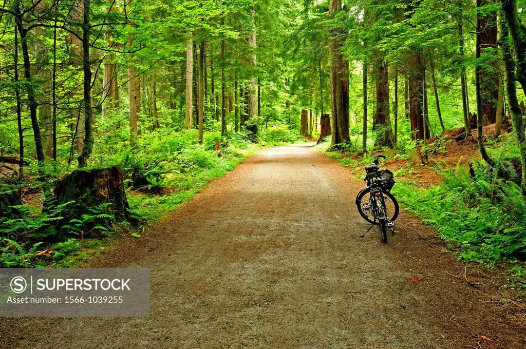 bicycle parked on Bridle Path, Stanley Park, Vancouver, British Columbia, Canada