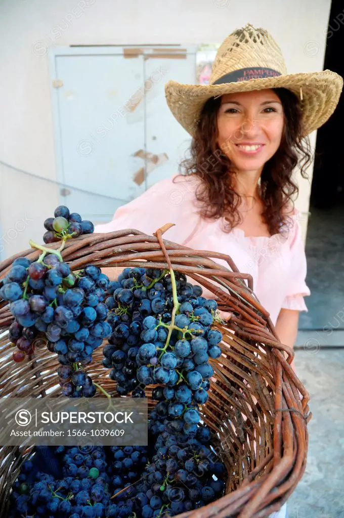 Verucchio, Emilia-Romagna, Italy: a local woman with grapes